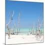 Cuba Fuerte Collection SQ - Wild Beach-Philippe Hugonnard-Mounted Photographic Print