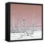 Cuba Fuerte Collection SQ - Wild Ocean - Pastel Red-Philippe Hugonnard-Framed Stretched Canvas