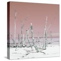 Cuba Fuerte Collection SQ - Wild Ocean - Pastel Red-Philippe Hugonnard-Stretched Canvas