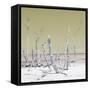 Cuba Fuerte Collection SQ - Wild Ocean - Pastel Yellow-Philippe Hugonnard-Framed Stretched Canvas