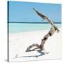 Cuba Fuerte Collection SQ - Wild Tree-Philippe Hugonnard-Stretched Canvas