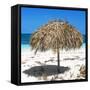 Cuba Fuerte Collection SQ - Wild Umbrella-Philippe Hugonnard-Framed Stretched Canvas