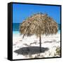 Cuba Fuerte Collection SQ - Wild Umbrella-Philippe Hugonnard-Framed Stretched Canvas