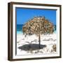 Cuba Fuerte Collection SQ - Wild Umbrella-Philippe Hugonnard-Framed Photographic Print