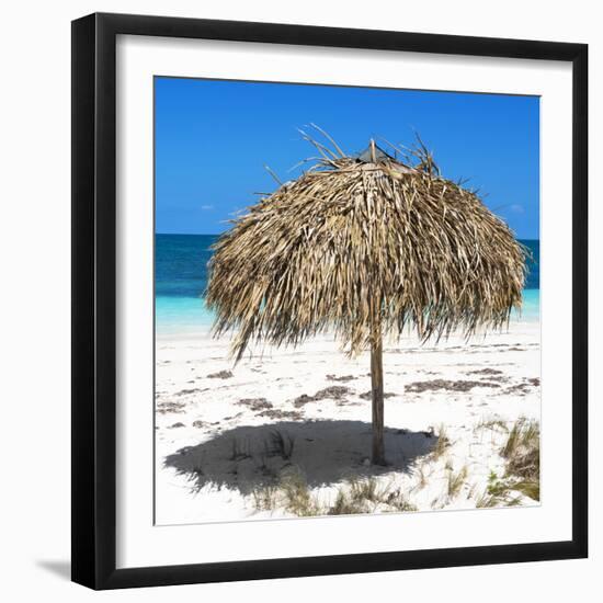 Cuba Fuerte Collection SQ - Wild Umbrella-Philippe Hugonnard-Framed Photographic Print