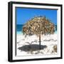 Cuba Fuerte Collection SQ - Wild Umbrella-Philippe Hugonnard-Framed Photographic Print