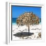 Cuba Fuerte Collection SQ - Wild Umbrella-Philippe Hugonnard-Framed Photographic Print