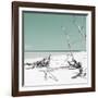 Cuba Fuerte Collection SQ - Wild White Sand Beach - Pastel Coral Green-Philippe Hugonnard-Framed Photographic Print