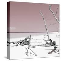 Cuba Fuerte Collection SQ - Wild White Sand Beach - Pastel Red-Philippe Hugonnard-Stretched Canvas