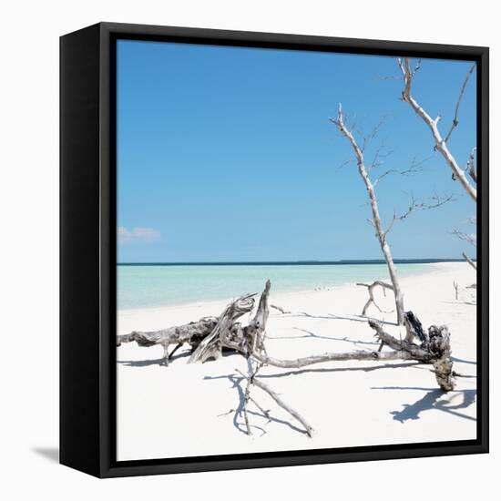 Cuba Fuerte Collection SQ - Wild White Sand Beach-Philippe Hugonnard-Framed Stretched Canvas