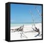 Cuba Fuerte Collection SQ - Wild White Sand Beach-Philippe Hugonnard-Framed Stretched Canvas