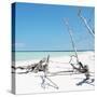 Cuba Fuerte Collection SQ - Wild White Sand Beach-Philippe Hugonnard-Stretched Canvas