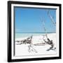 Cuba Fuerte Collection SQ - Wild White Sand Beach-Philippe Hugonnard-Framed Photographic Print