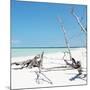 Cuba Fuerte Collection SQ - Wild White Sand Beach-Philippe Hugonnard-Mounted Photographic Print