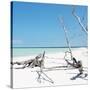 Cuba Fuerte Collection SQ - Wild White Sand Beach-Philippe Hugonnard-Stretched Canvas