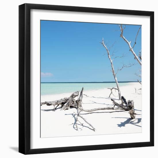 Cuba Fuerte Collection SQ - Wild White Sand Beach-Philippe Hugonnard-Framed Photographic Print