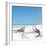 Cuba Fuerte Collection SQ - Wild White Sand Beach-Philippe Hugonnard-Framed Photographic Print