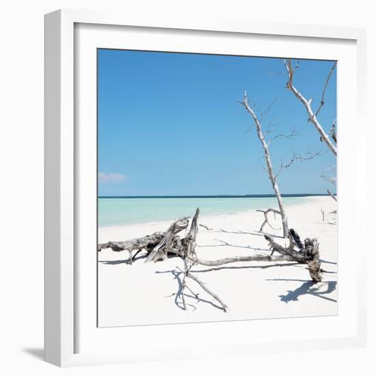 Cuba Fuerte Collection SQ - Wild White Sand Beach-Philippe Hugonnard-Framed Photographic Print