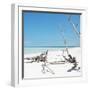 Cuba Fuerte Collection SQ - Wild White Sand Beach-Philippe Hugonnard-Framed Photographic Print