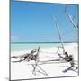 Cuba Fuerte Collection SQ - Wild White Sand Beach-Philippe Hugonnard-Mounted Photographic Print