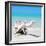 Cuba Fuerte Collection SQ - Wooden Turtle on the Beach-Philippe Hugonnard-Framed Photographic Print