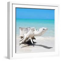 Cuba Fuerte Collection SQ - Wooden Turtle on the Beach-Philippe Hugonnard-Framed Photographic Print