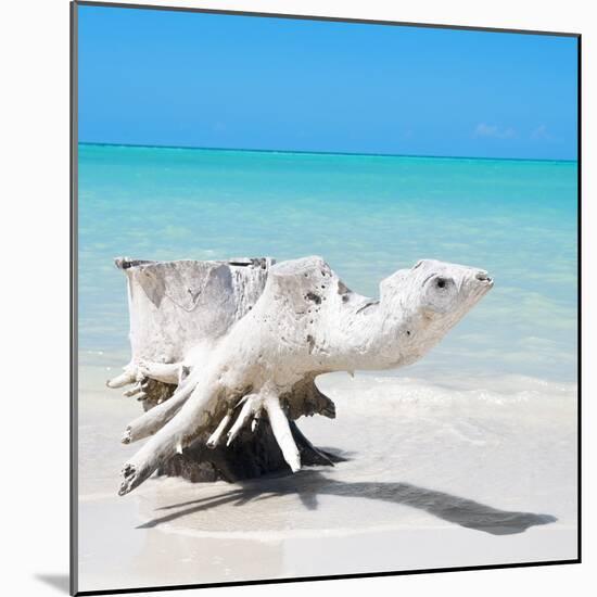Cuba Fuerte Collection SQ - Wooden Turtle on the Beach-Philippe Hugonnard-Mounted Photographic Print