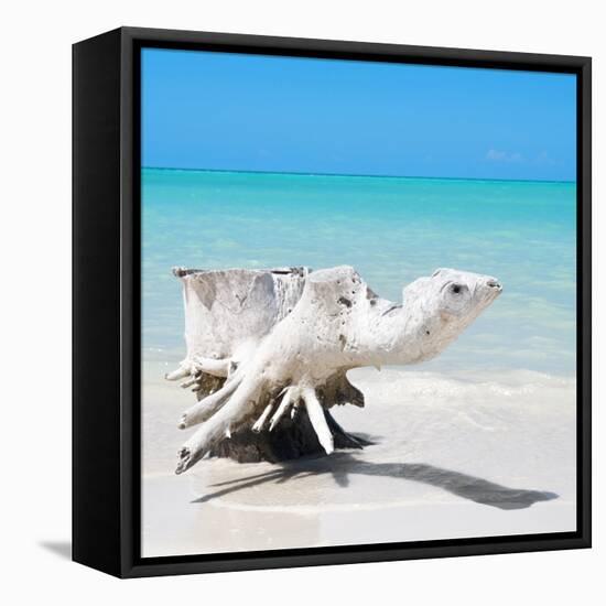 Cuba Fuerte Collection SQ - Wooden Turtle on the Beach-Philippe Hugonnard-Framed Stretched Canvas