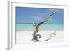 Cuba Fuerte Collection - Trees Movement-Philippe Hugonnard-Framed Photographic Print