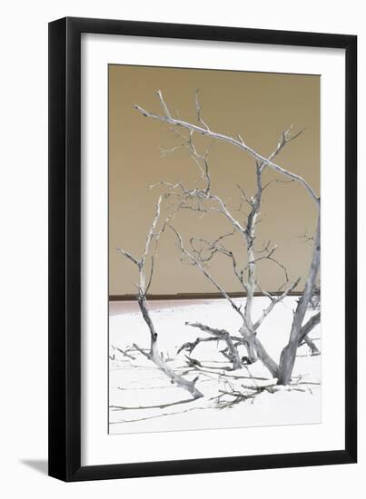 Cuba Fuerte Collection - Tropical Beach Nature II - Pastel Orange-Philippe Hugonnard-Framed Photographic Print