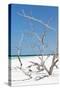 Cuba Fuerte Collection - Tropical Beach Nature II-Philippe Hugonnard-Stretched Canvas