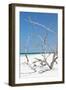 Cuba Fuerte Collection - Tropical Beach Nature II-Philippe Hugonnard-Framed Photographic Print