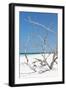 Cuba Fuerte Collection - Tropical Beach Nature II-Philippe Hugonnard-Framed Photographic Print