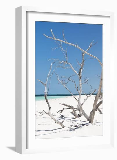 Cuba Fuerte Collection - Tropical Beach Nature II-Philippe Hugonnard-Framed Photographic Print