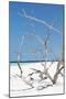Cuba Fuerte Collection - Tropical Beach Nature II-Philippe Hugonnard-Mounted Photographic Print