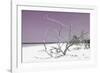 Cuba Fuerte Collection - Tropical Beach Nature - Pastel Purple-Philippe Hugonnard-Framed Photographic Print