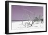 Cuba Fuerte Collection - Tropical Beach Nature - Pastel Purple-Philippe Hugonnard-Framed Photographic Print