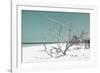Cuba Fuerte Collection - Tropical Beach Nature - Pastel Turquoise-Philippe Hugonnard-Framed Photographic Print
