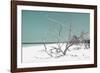 Cuba Fuerte Collection - Tropical Beach Nature - Pastel Turquoise-Philippe Hugonnard-Framed Photographic Print