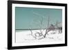 Cuba Fuerte Collection - Tropical Beach Nature - Pastel Turquoise-Philippe Hugonnard-Framed Photographic Print