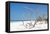 Cuba Fuerte Collection - Tropical Beach Nature-Philippe Hugonnard-Framed Stretched Canvas