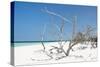 Cuba Fuerte Collection - Tropical Beach Nature-Philippe Hugonnard-Stretched Canvas