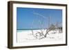 Cuba Fuerte Collection - Tropical Beach Nature-Philippe Hugonnard-Framed Photographic Print