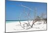 Cuba Fuerte Collection - Tropical Beach Nature-Philippe Hugonnard-Mounted Photographic Print