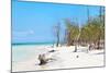 Cuba Fuerte Collection - White Sand Beach-Philippe Hugonnard-Mounted Photographic Print