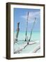 Cuba Fuerte Collection - White Trees III-Philippe Hugonnard-Framed Photographic Print