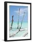 Cuba Fuerte Collection - White Trees III-Philippe Hugonnard-Framed Photographic Print