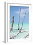 Cuba Fuerte Collection - White Trees III-Philippe Hugonnard-Framed Photographic Print