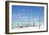 Cuba Fuerte Collection - White Trees IV-Philippe Hugonnard-Framed Photographic Print