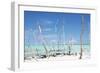 Cuba Fuerte Collection - White Trees IV-Philippe Hugonnard-Framed Photographic Print